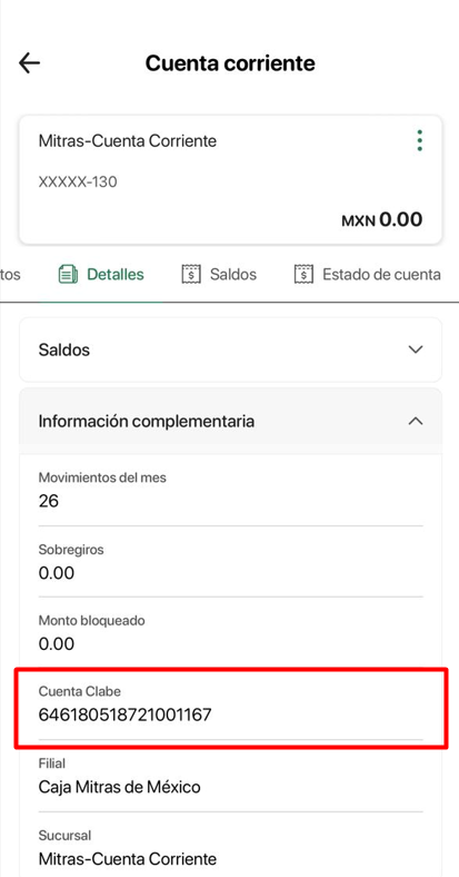 Paso 5
